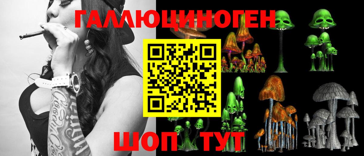 Галлюциногенные грибы мицелий  Вход с VPN  Хасавюрт 